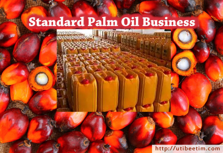 Standard Palm Oil Business Plan With 3-Years Financial Analysis